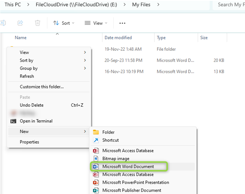 Image of FC Drive menu, create new MS Word file