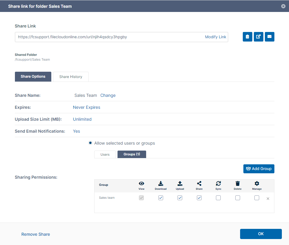 Image of FileCloud Admin interface - Manage Team Folders - Team Folder Share Settings. 