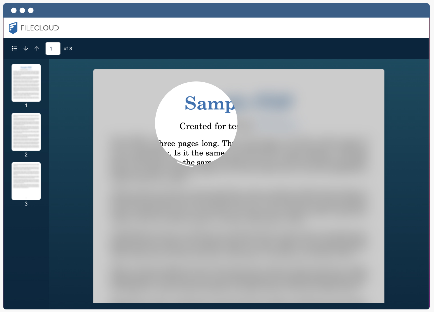 FileCloud DRM protection obscures a page of sample text, apart from the visible area around the cursor.